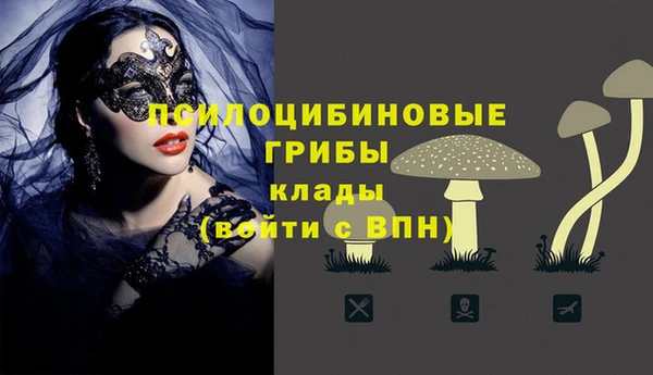 бошки Алексин