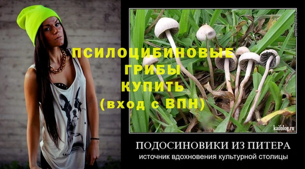 индика Абаза