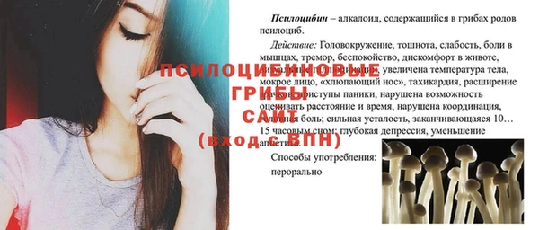 бошки Алексин